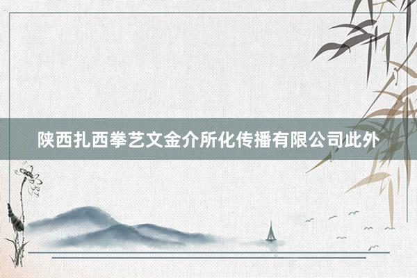 陕西扎西拳艺文金介所化传播有限公司此外